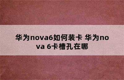 华为nova6如何装卡 华为nova 6卡槽孔在哪